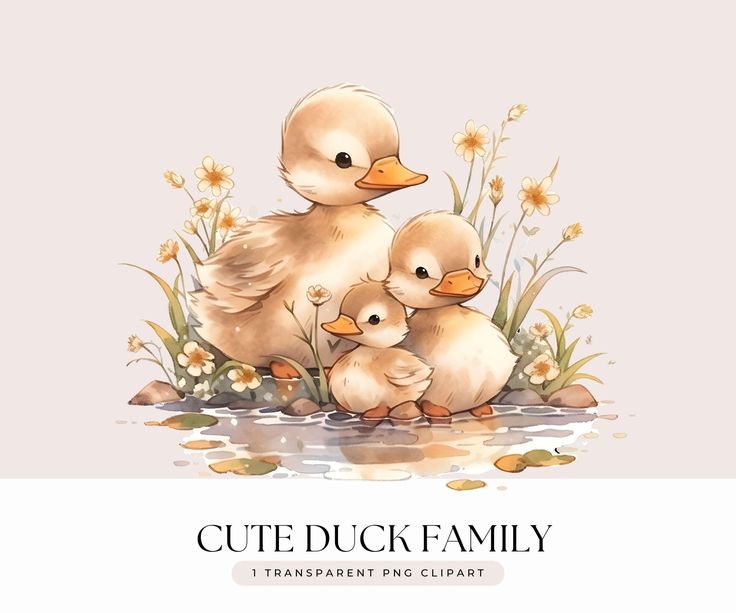 cute duck transparent background 0086