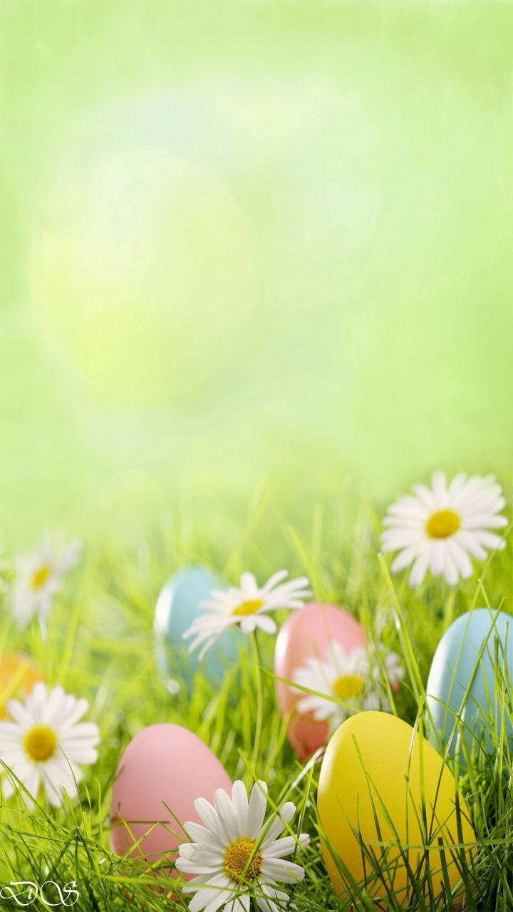 cute Easter backgrounds 0050