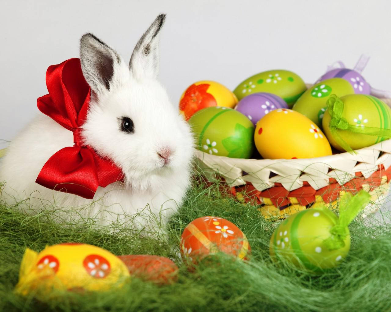 cute Easter backgrounds 0051