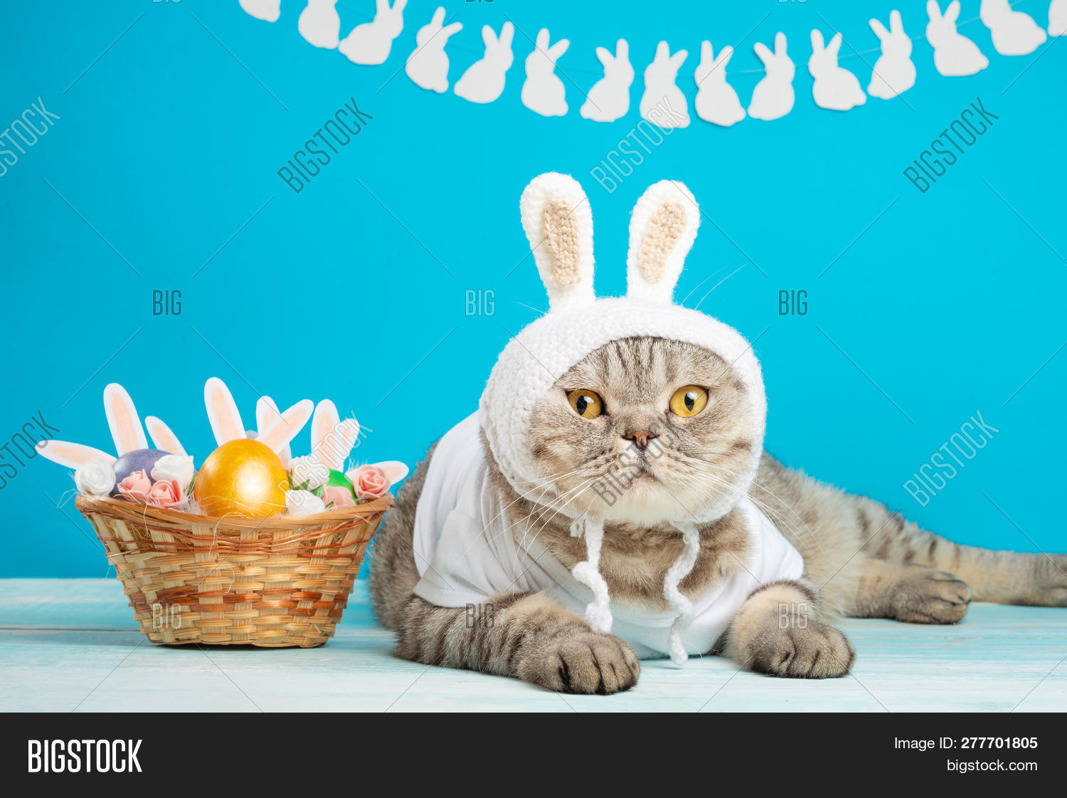 cute Easter backgrounds 0068