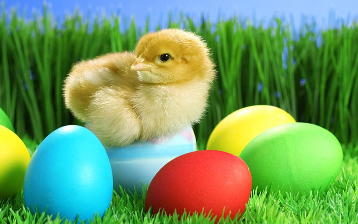 cute Easter backgrounds 0071