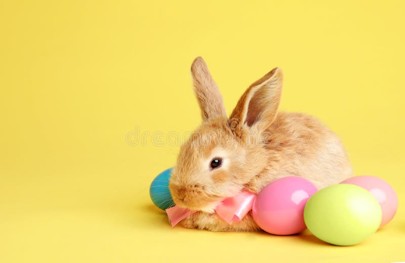 cute Easter backgrounds 0079