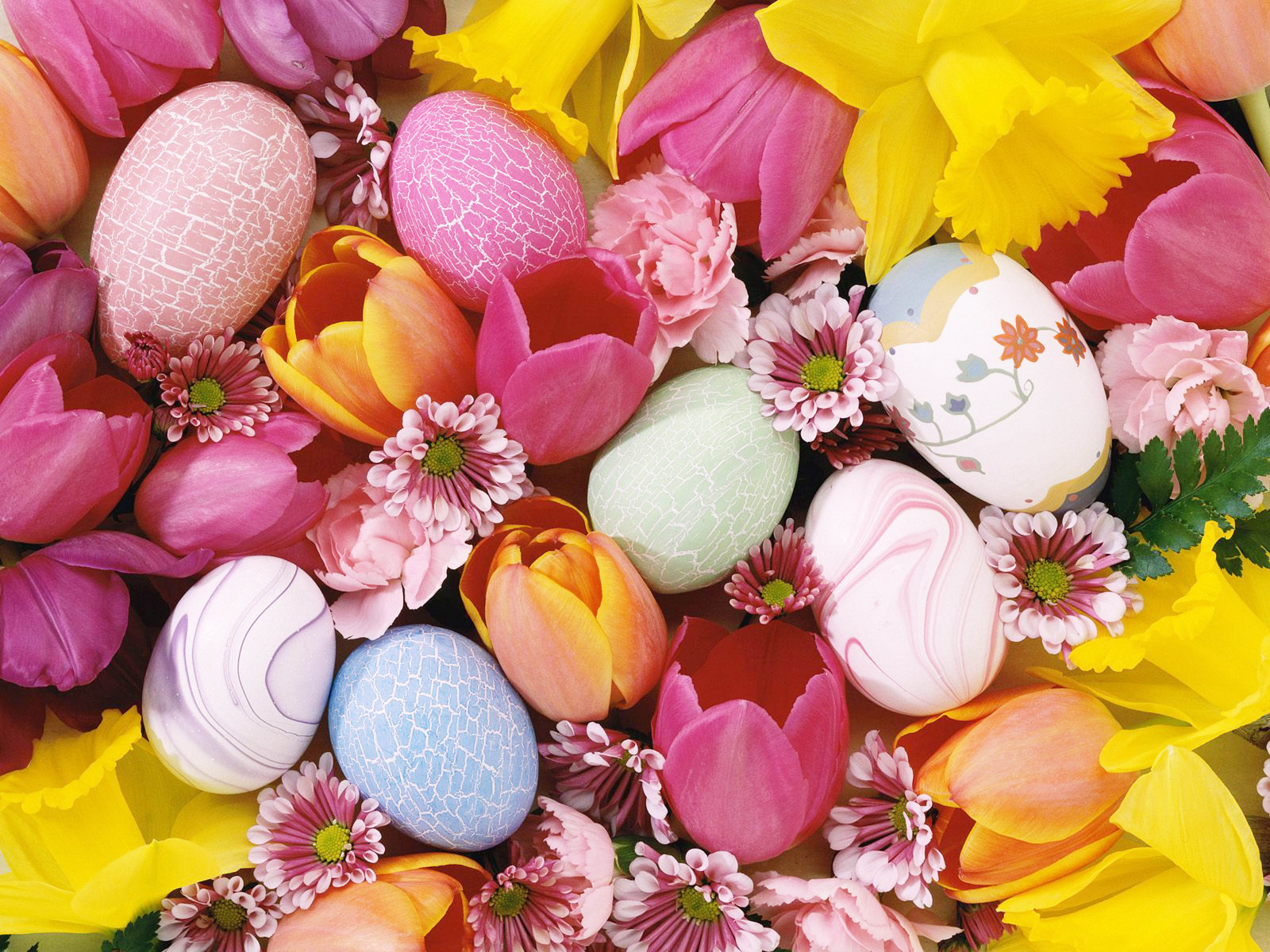 cute Easter backgrounds 0081