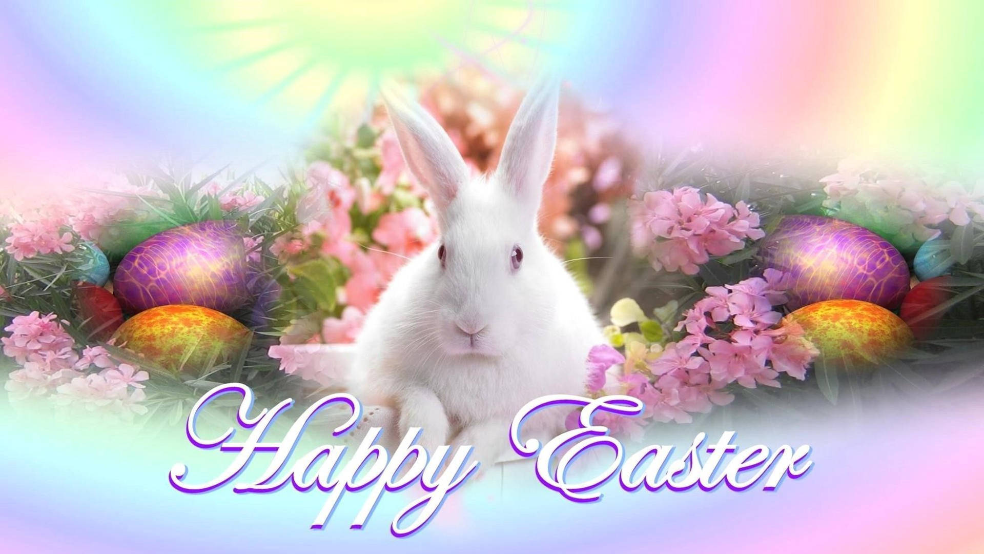 cute Easter backgrounds 0089