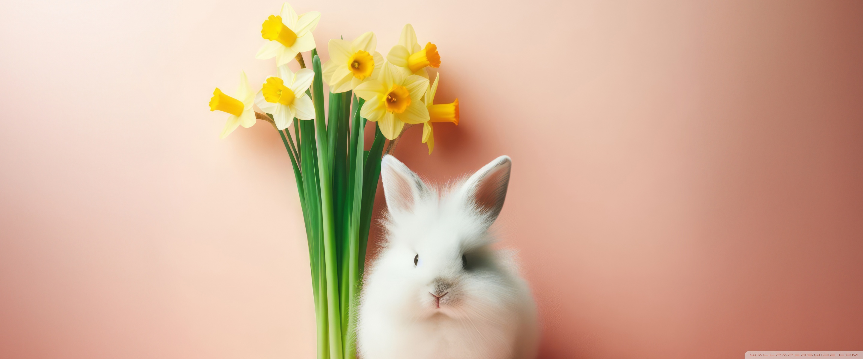 cute Easter backgrounds 0091