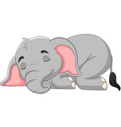 cute elephant backgrounds 0018