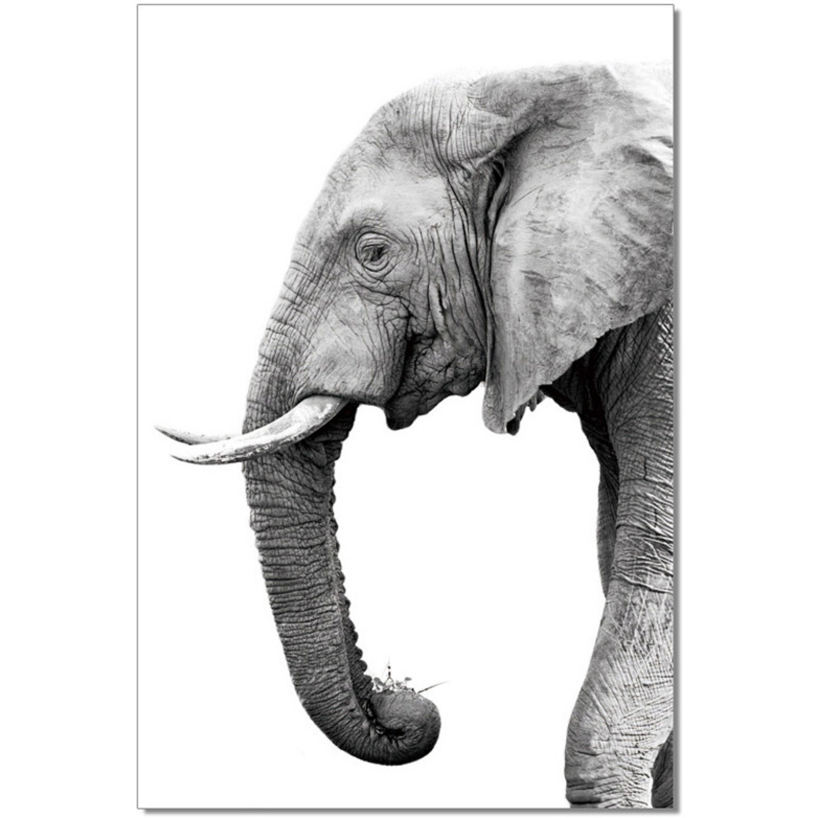 cute elephant backgrounds 0078