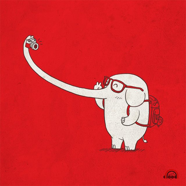 cute elephant backgrounds 0097