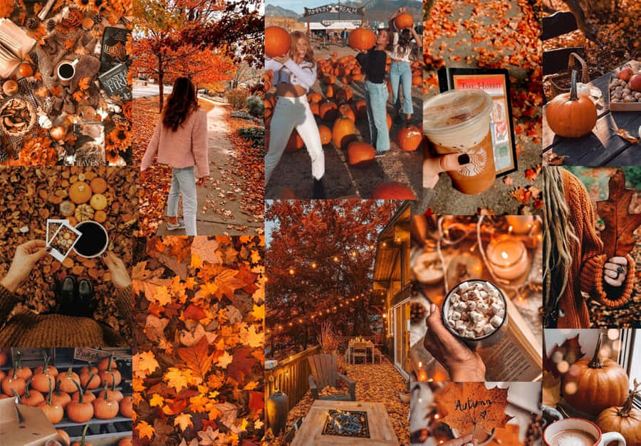 cute fall backgrounds 0025