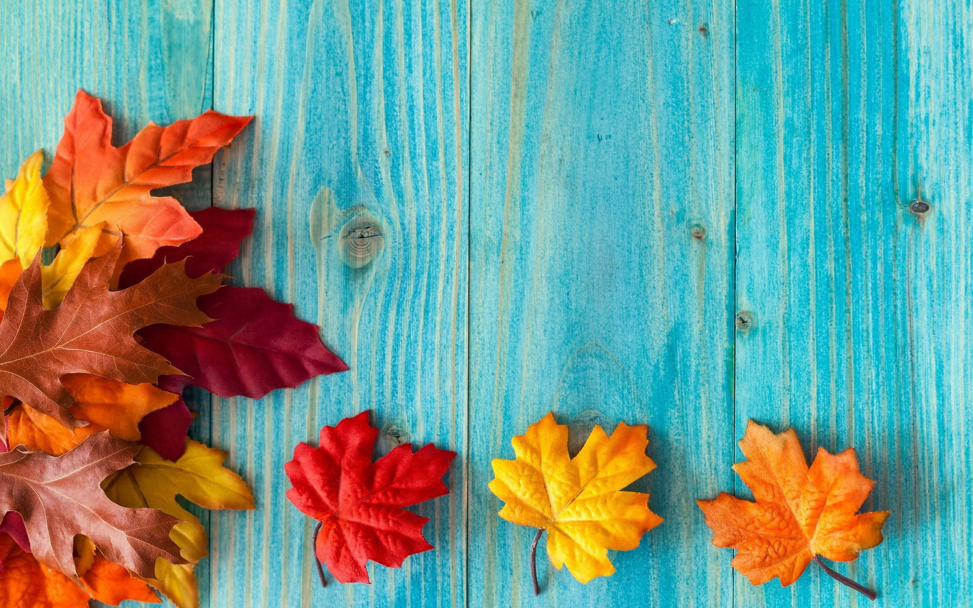 cute fall backgrounds 0026