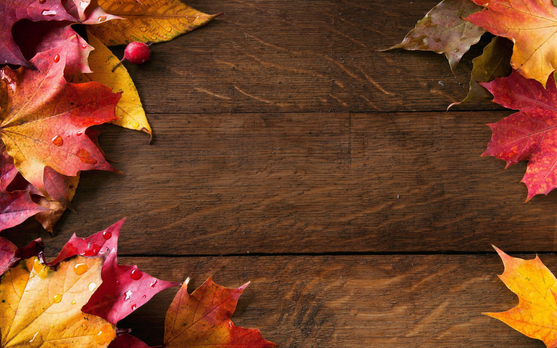 cute fall backgrounds 0071