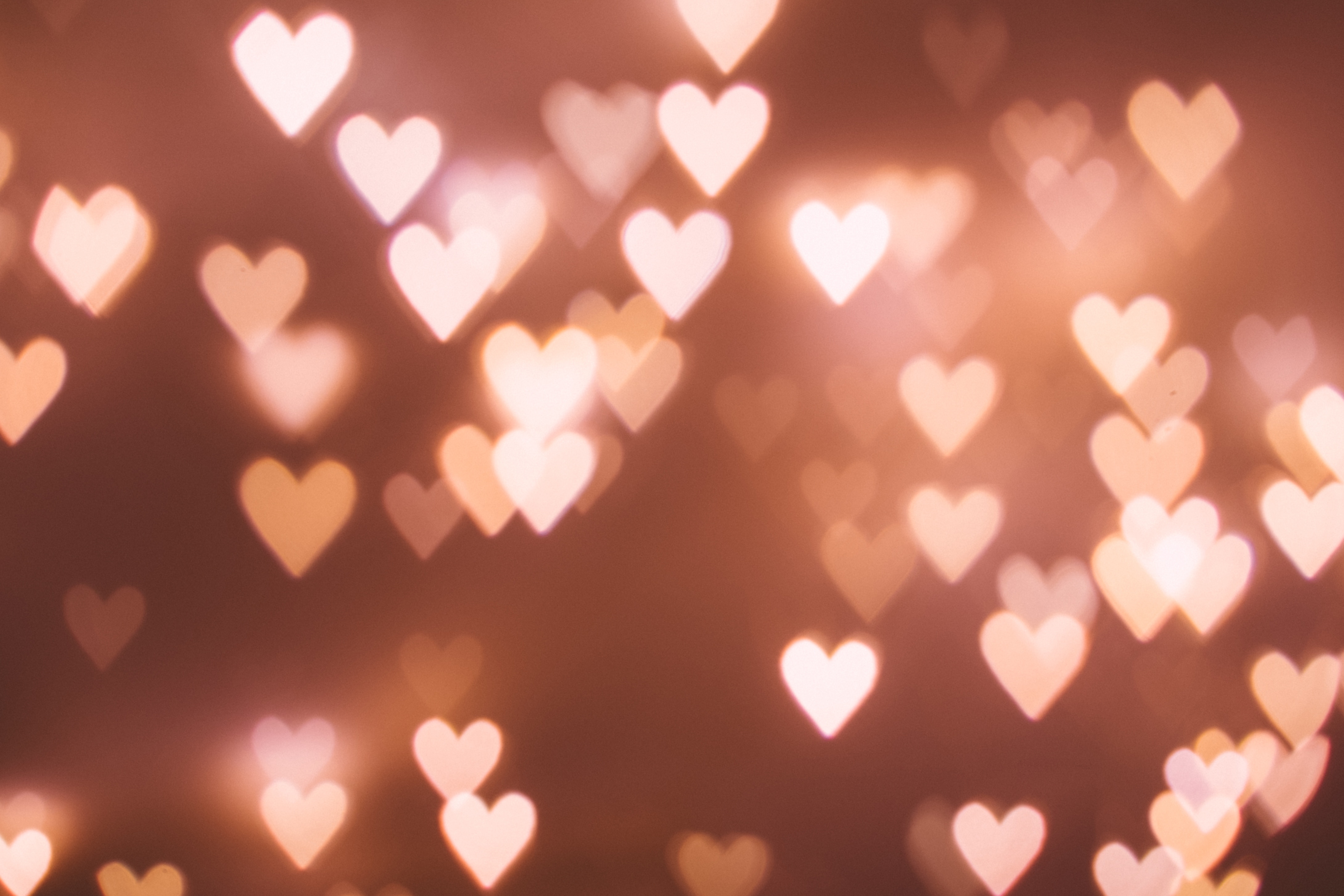 cute february backgrounds 0067