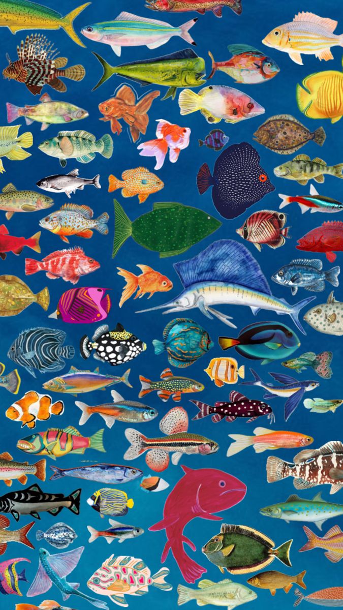 cute fish background 0052