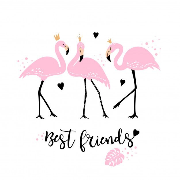 cute flamingo backgrounds 0013