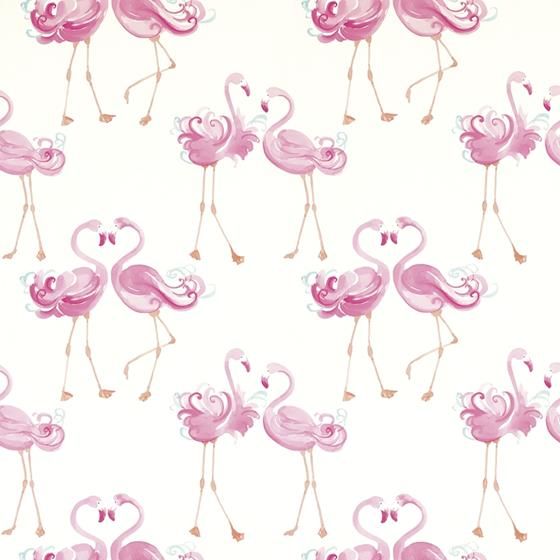 cute flamingo backgrounds 0022