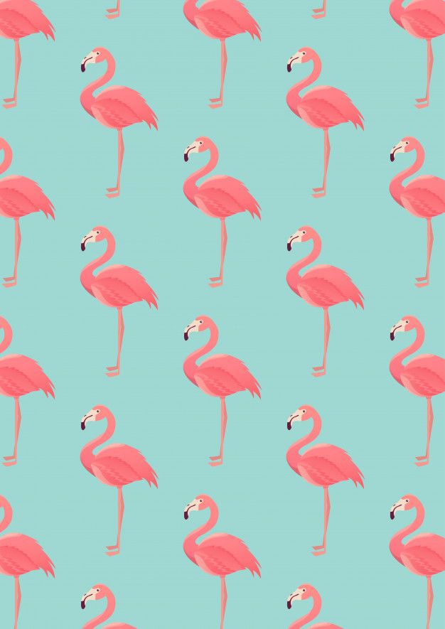 cute flamingo backgrounds 0026