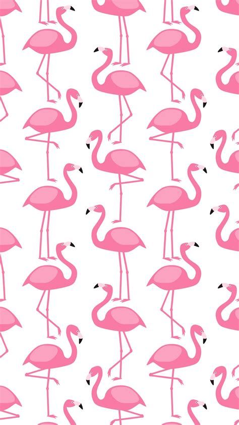 cute flamingo backgrounds 0027