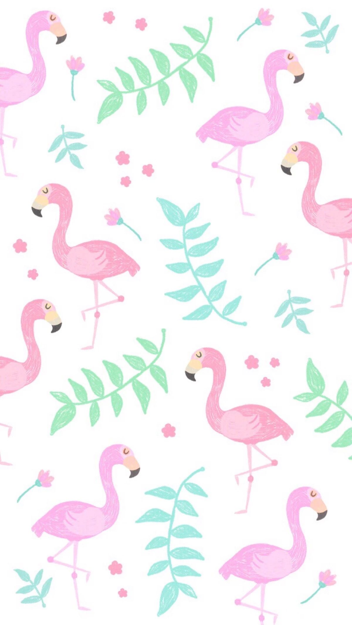 cute flamingo backgrounds 0028