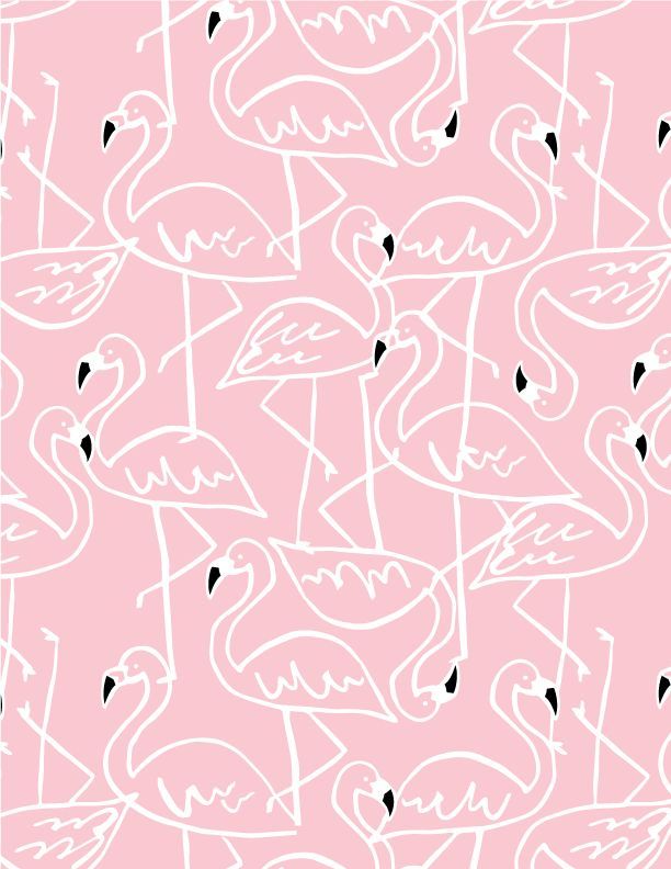 cute flamingo backgrounds 0029