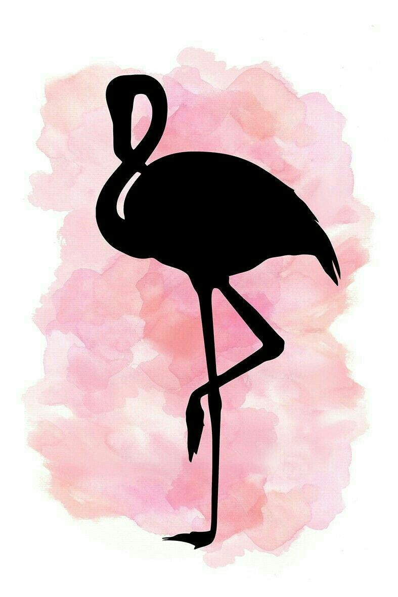 cute flamingo backgrounds 0031