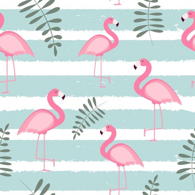 cute flamingo backgrounds 0033