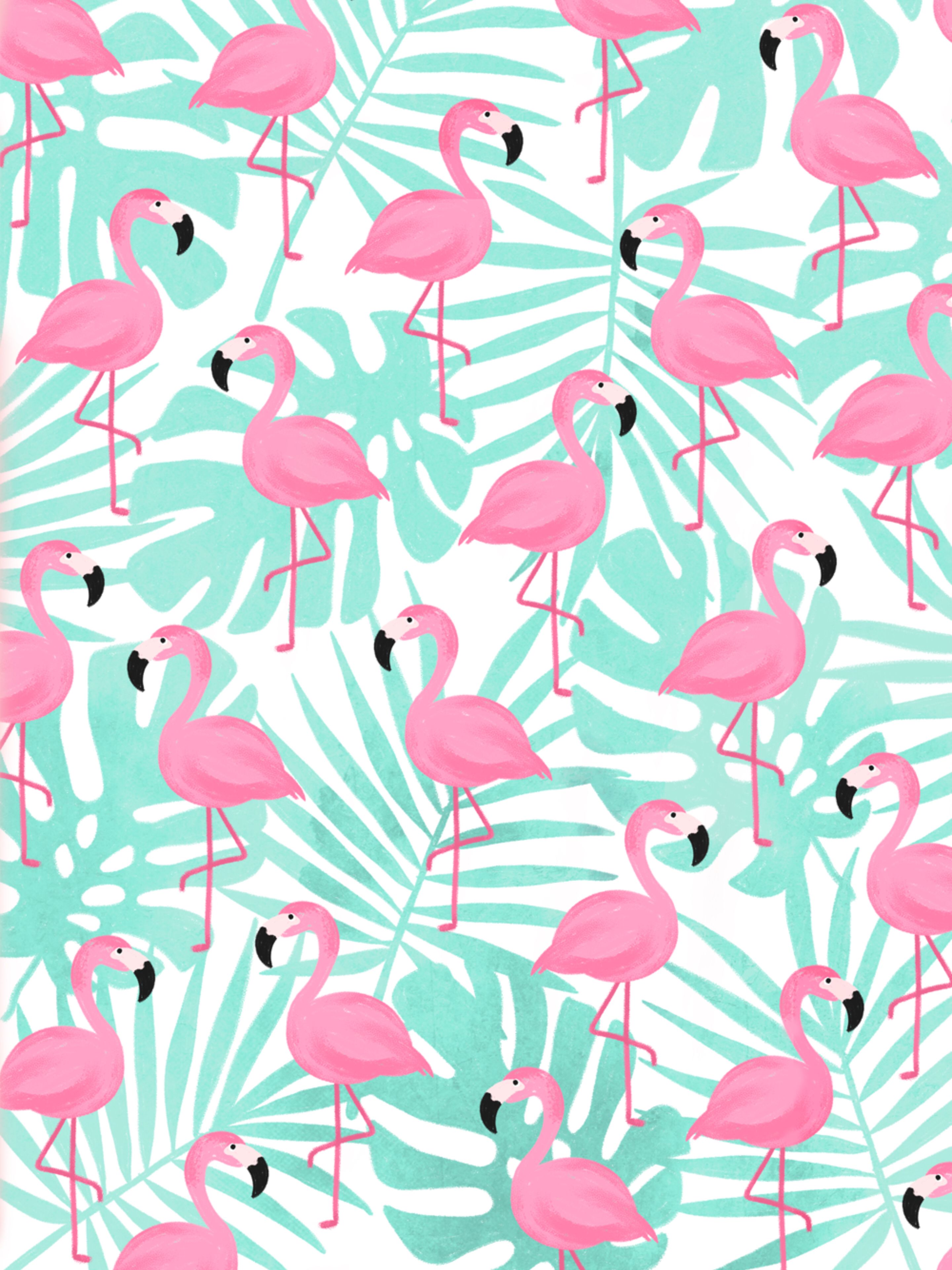 cute flamingo backgrounds 0038