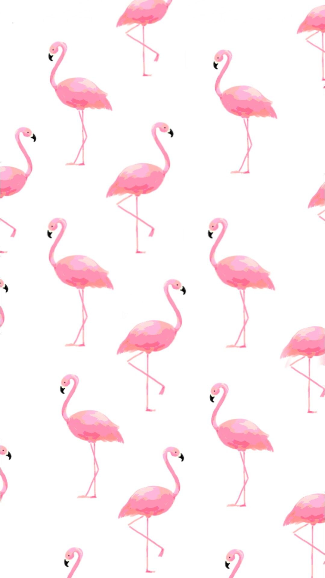 cute flamingo backgrounds 0039