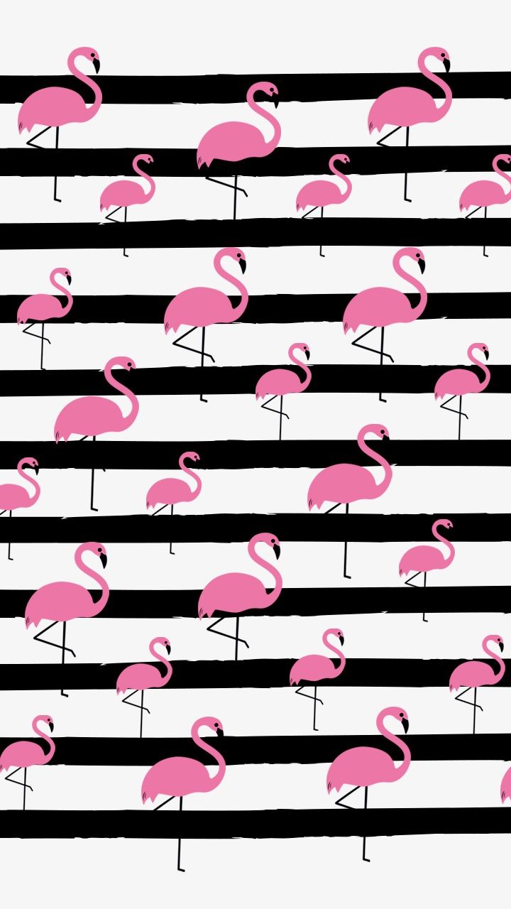 cute flamingo backgrounds 0040