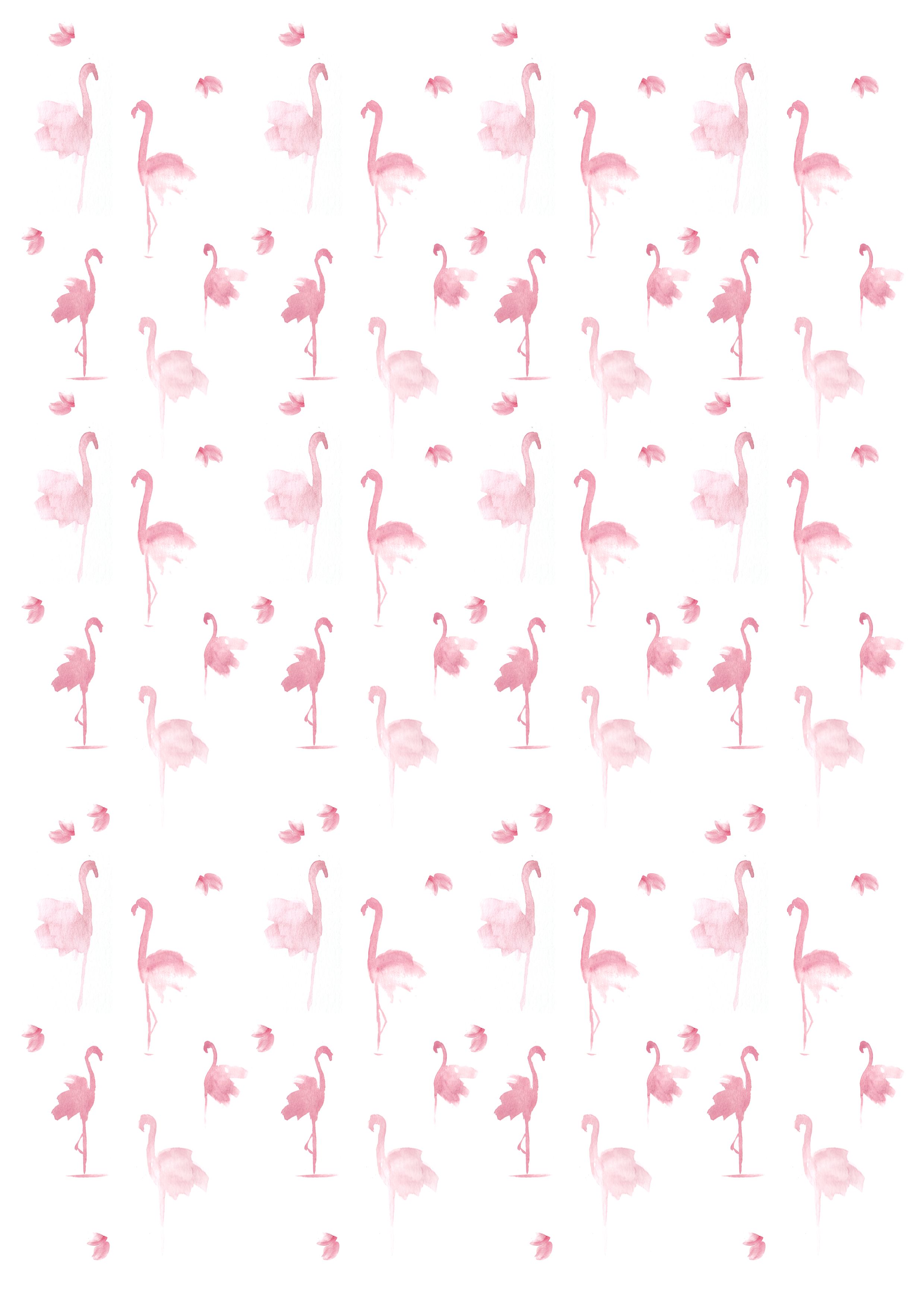 cute flamingo backgrounds 0041