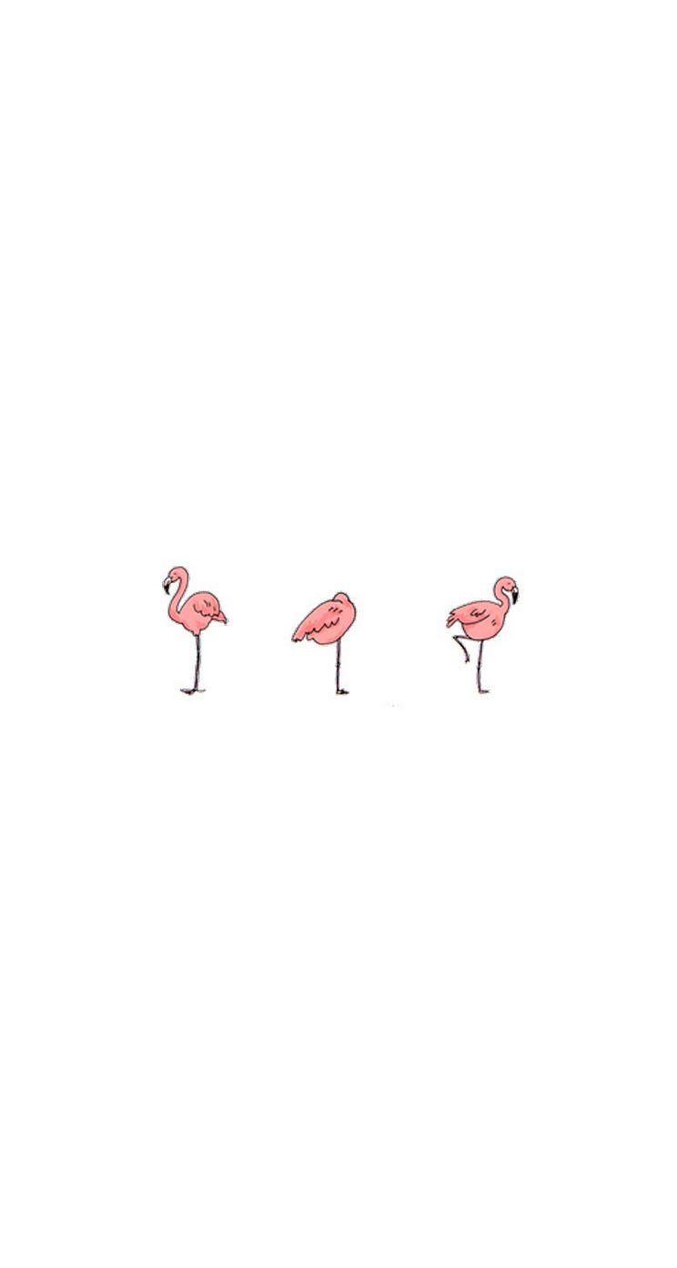 cute flamingo backgrounds 0045