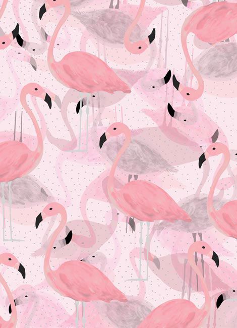 cute flamingo backgrounds 0049