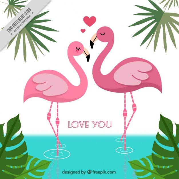 cute flamingo backgrounds 0050