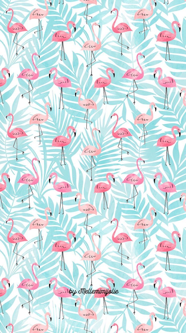 cute flamingo backgrounds 0057