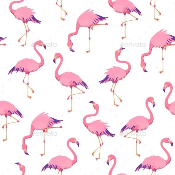 cute flamingo backgrounds 0059