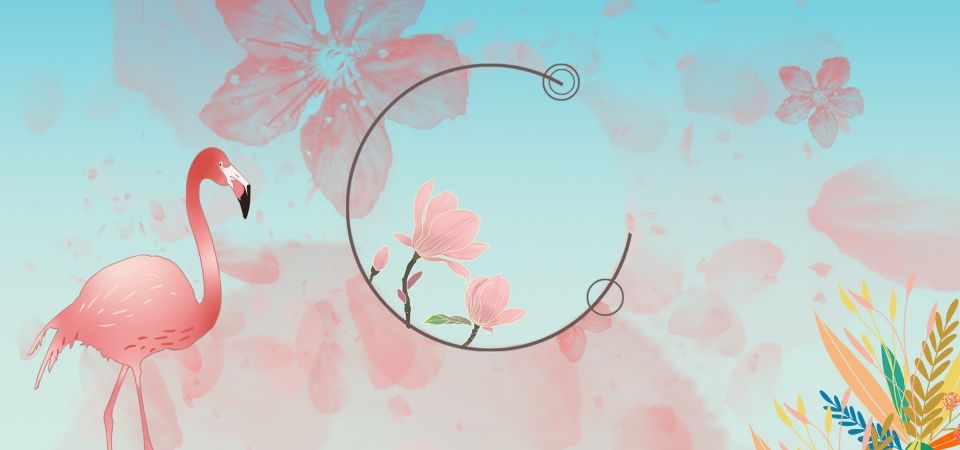 cute flamingo backgrounds 0062