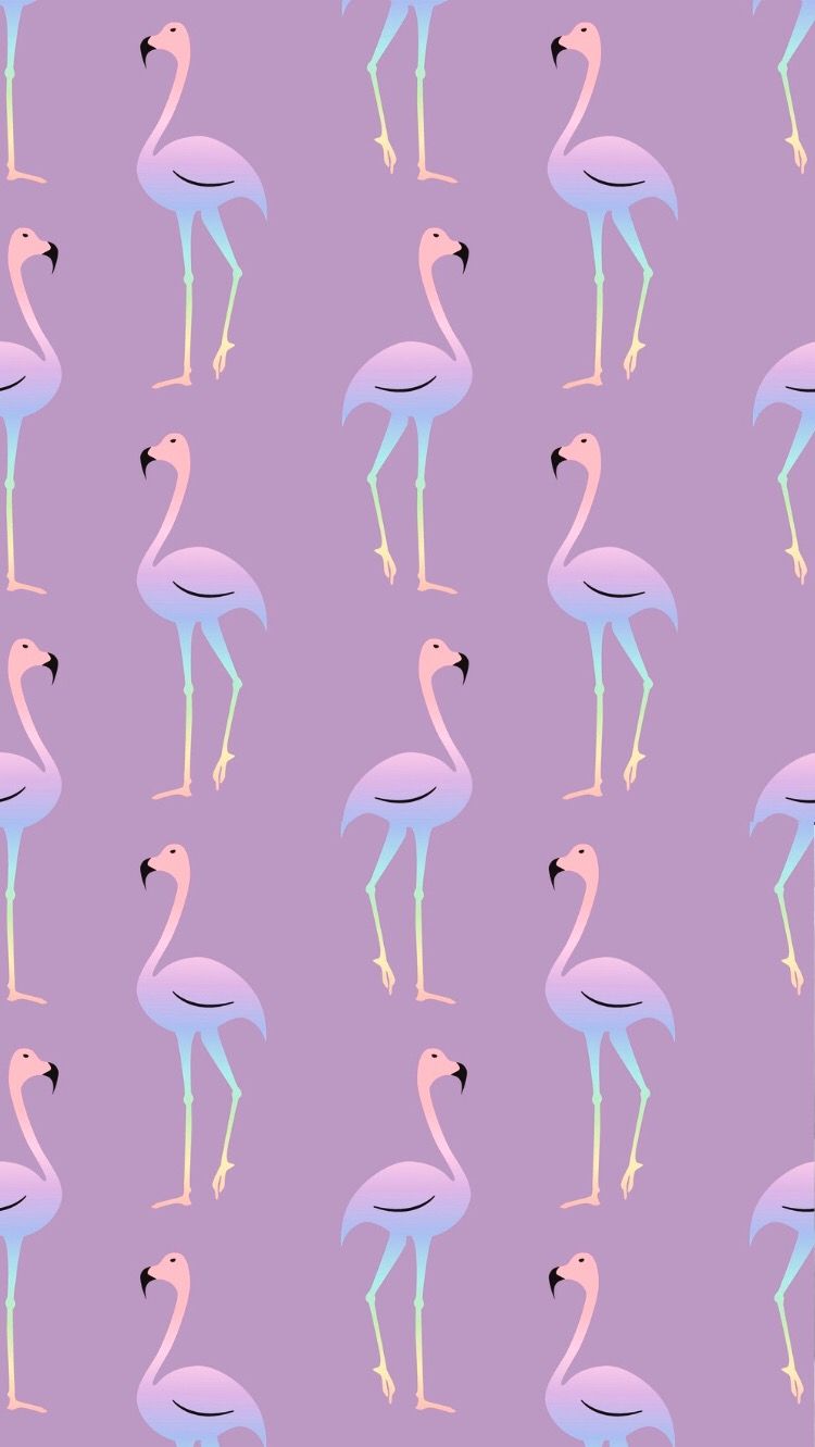 cute flamingo backgrounds 0071