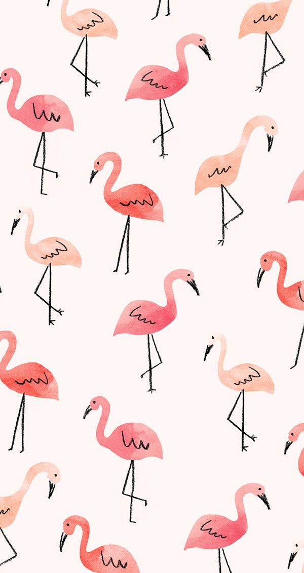 cute flamingo backgrounds 0074