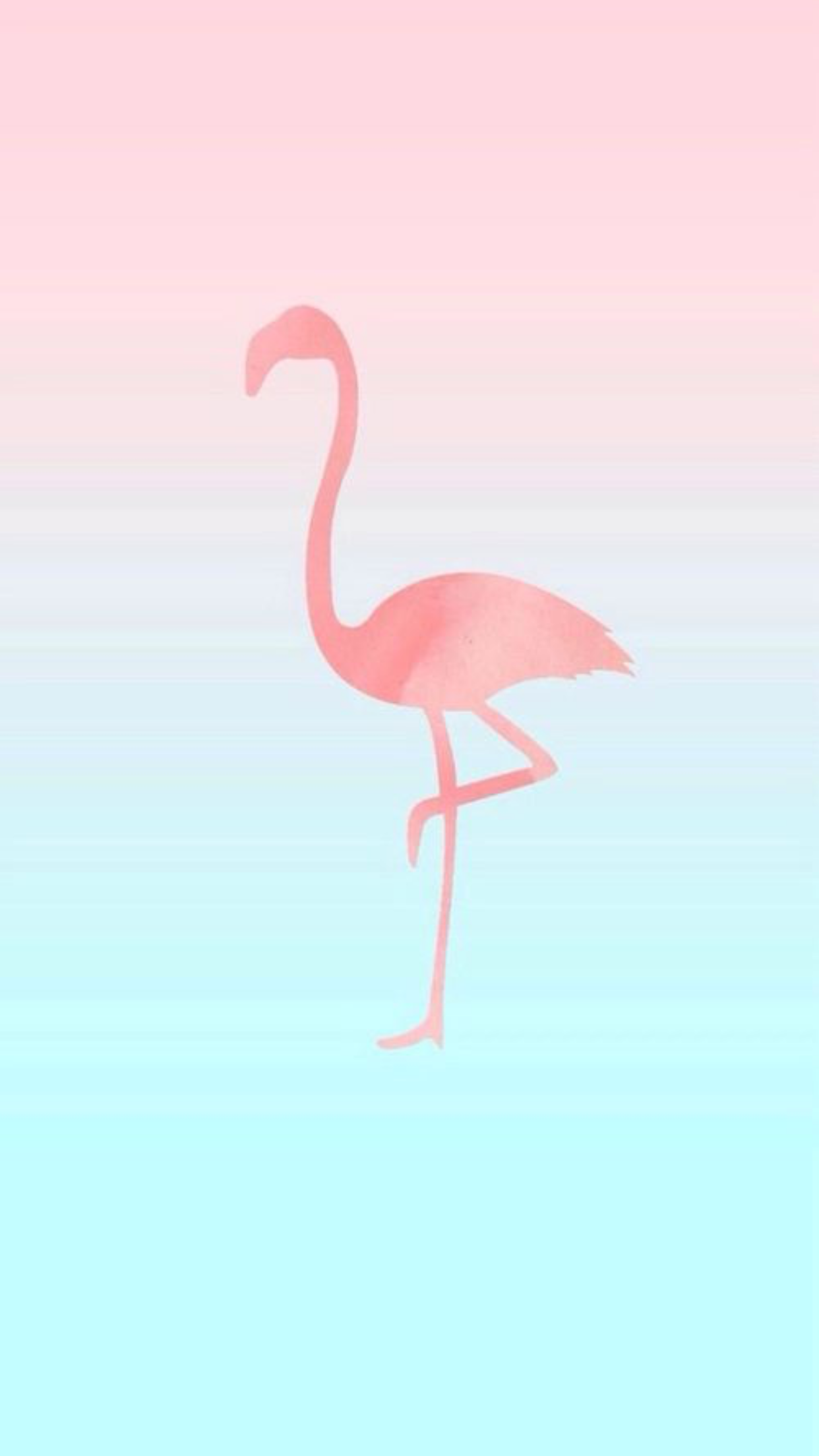 cute flamingo backgrounds 0077