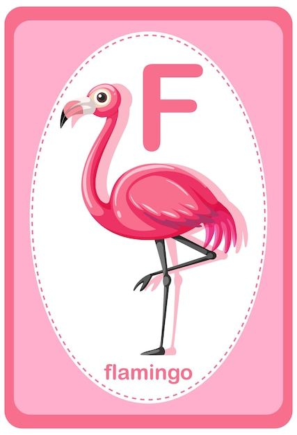 cute flamingo backgrounds 0097