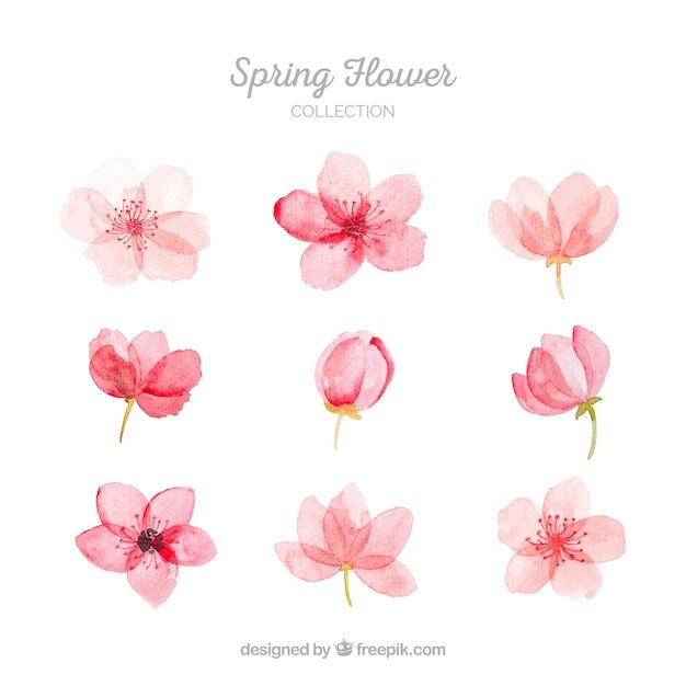 cute flower backgrounds 0080