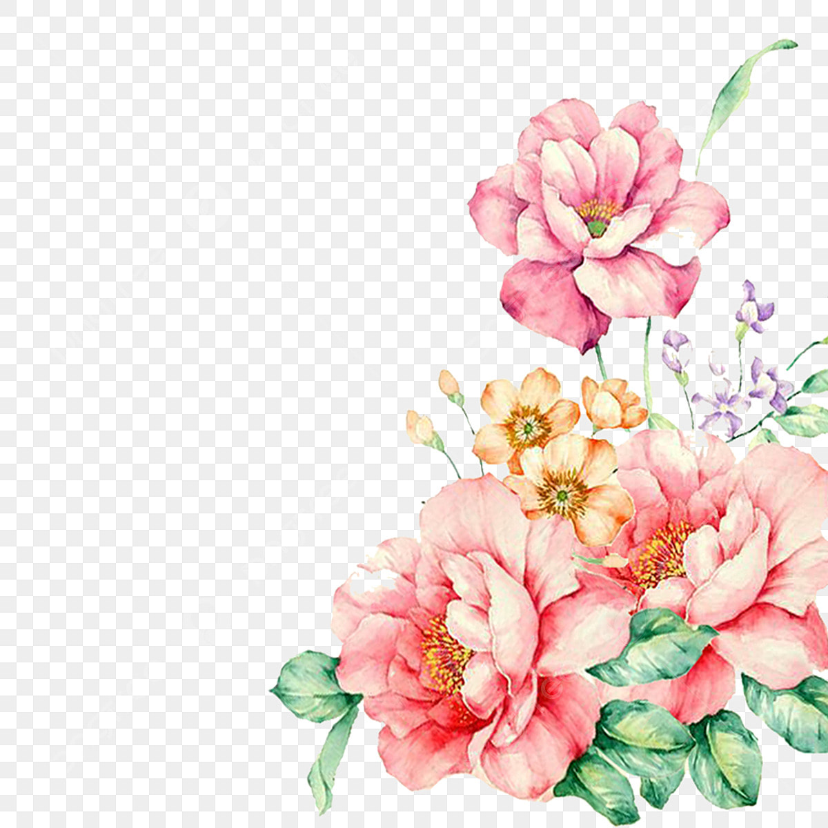 cute flowers transparent background 0027