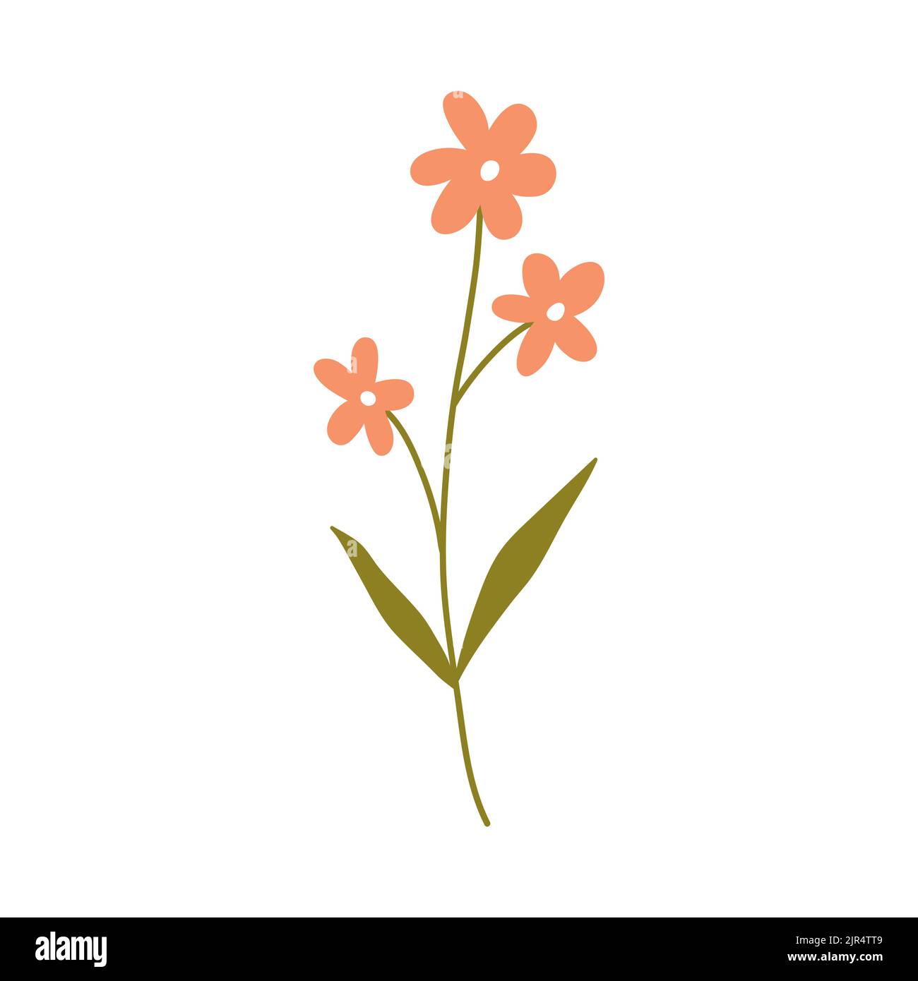 cute flowers transparent background 0031