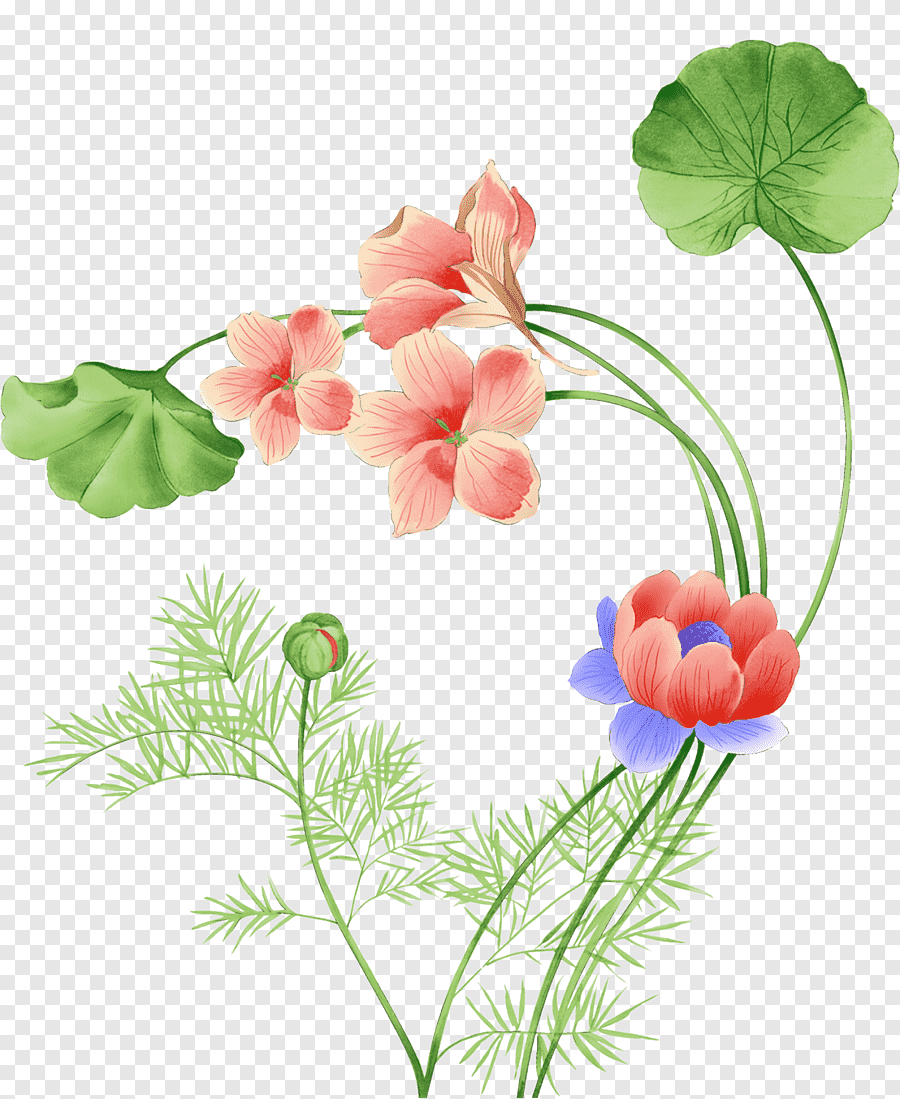 cute flowers transparent background 0032