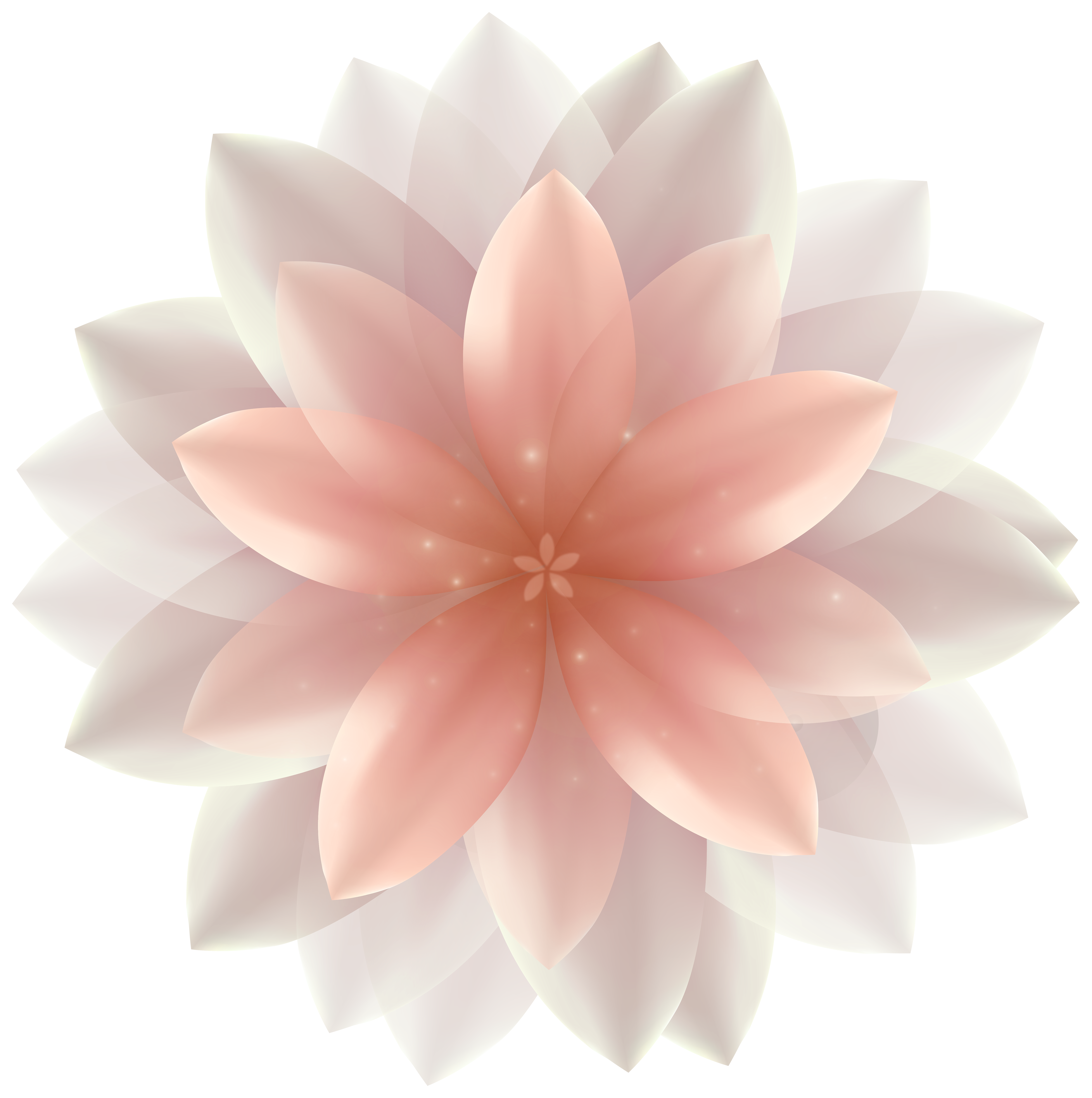 cute flowers transparent background 0034