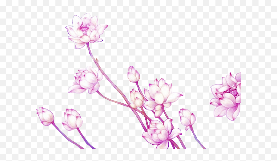 cute flowers transparent background 0061