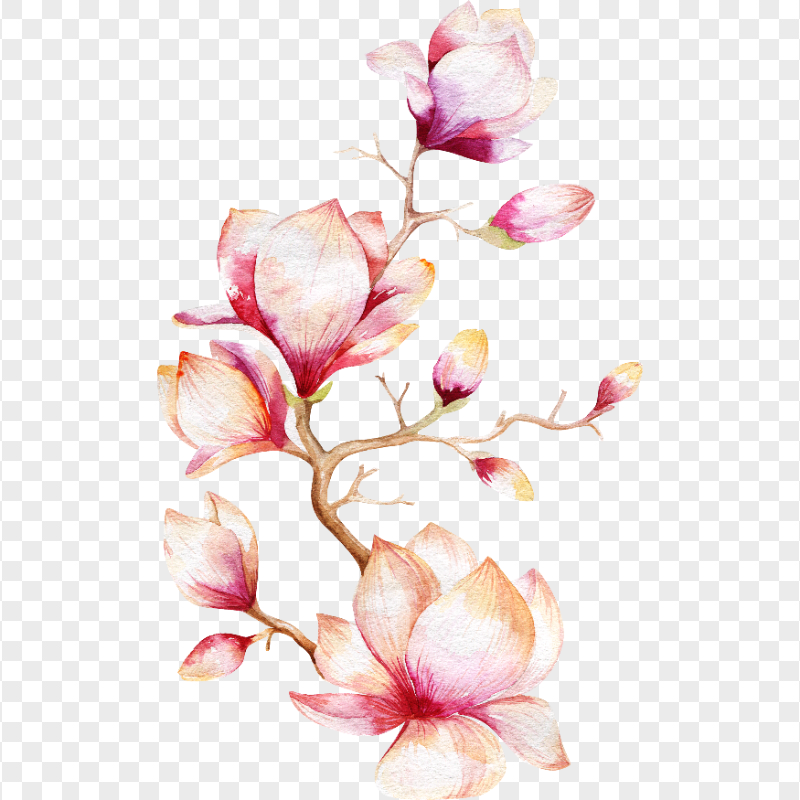 cute flowers transparent background 0064