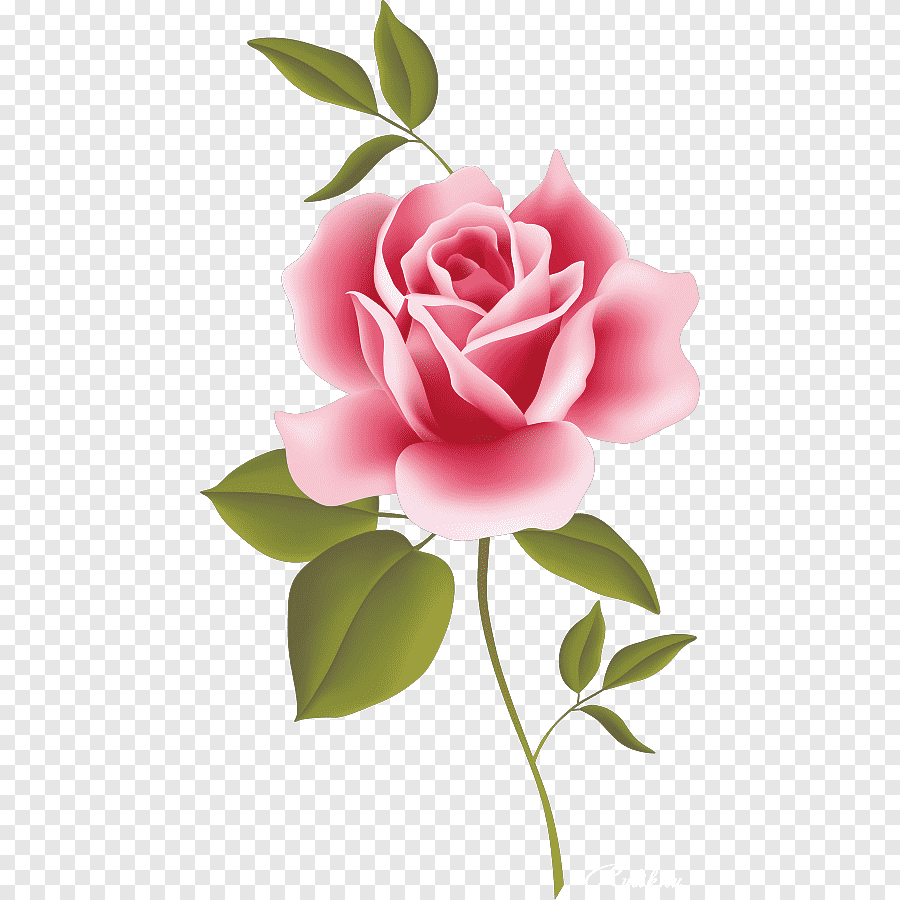 cute flowers transparent background 0075