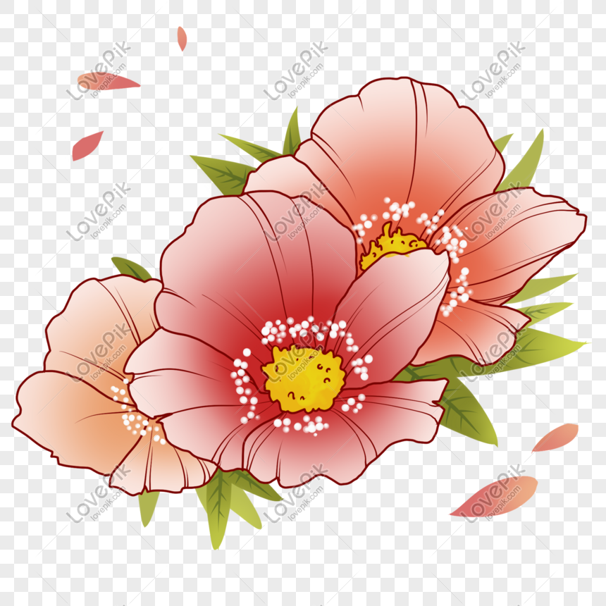 cute flowers transparent background 0076