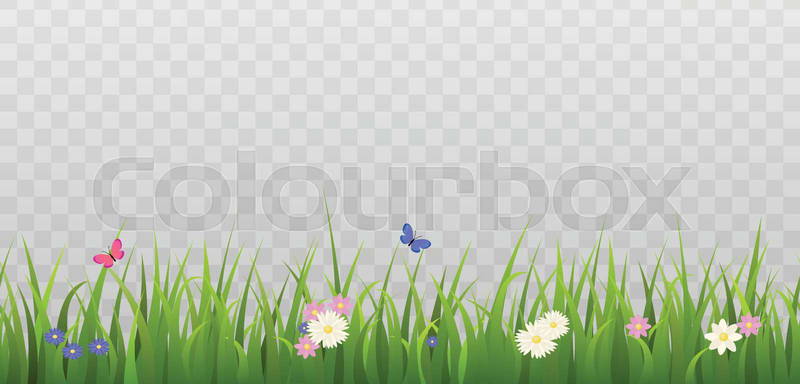 cute flowers transparent background 0079