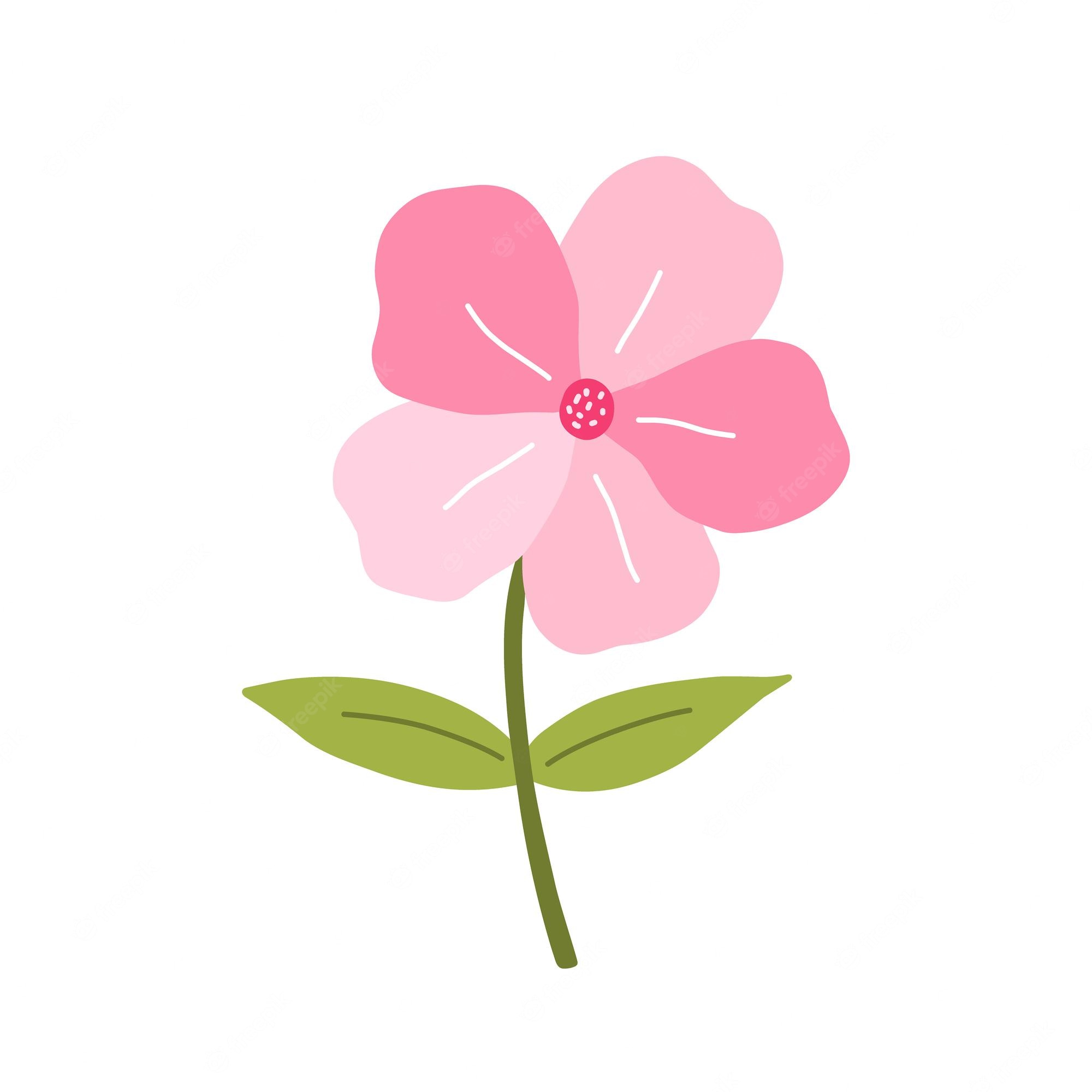 cute flowers transparent background 0082